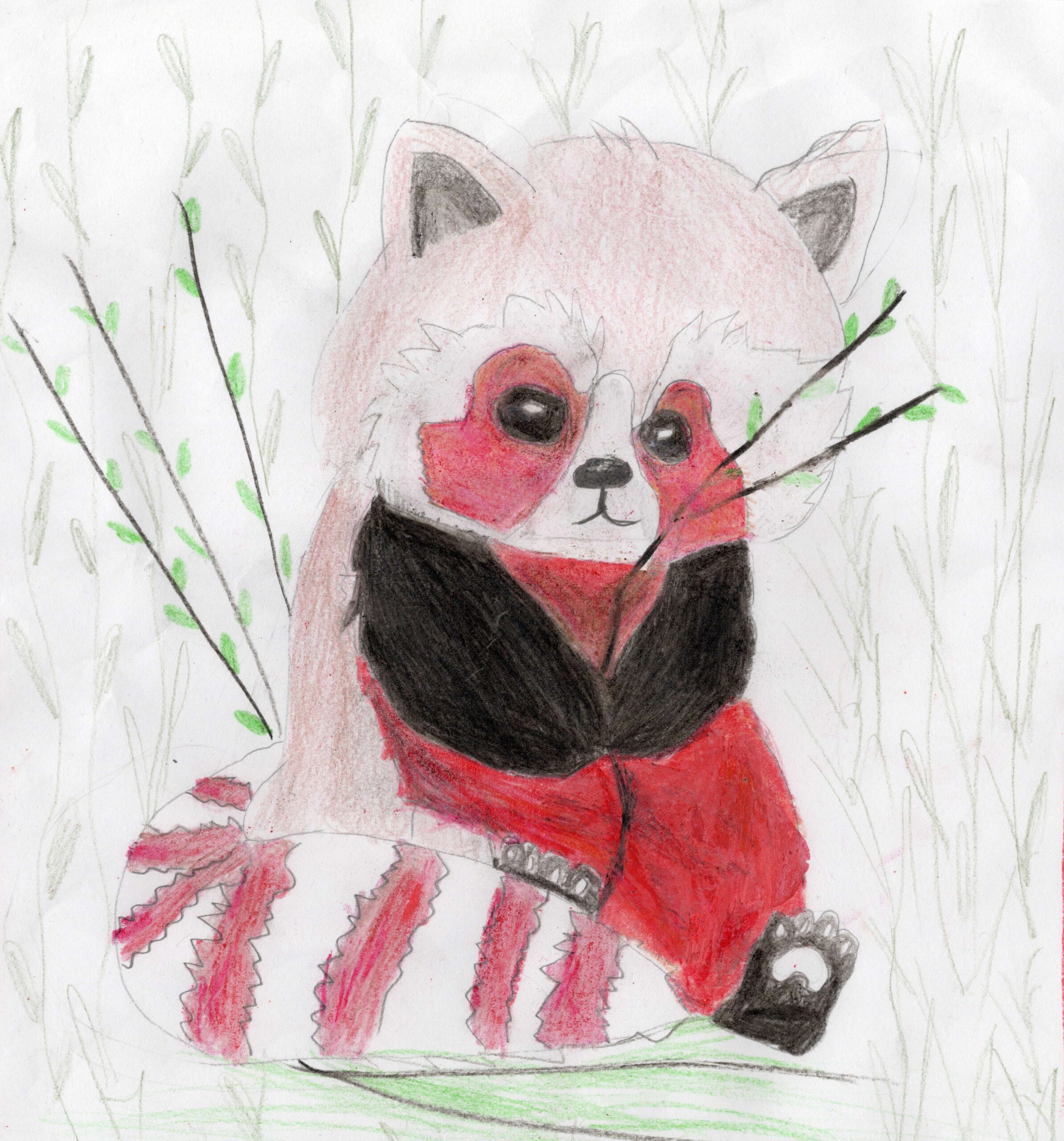 Handgezeichneter Roter Panda mit markanter roter und schwarzer Fellzeichnung, der zwischen skizzierten Ästen sitzt.